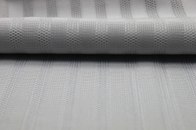 Warp mesh