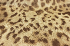 Micro Suede