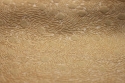 Micro Suede Micro Suede